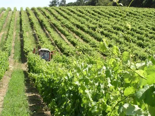 Quinta De Catralvos-1