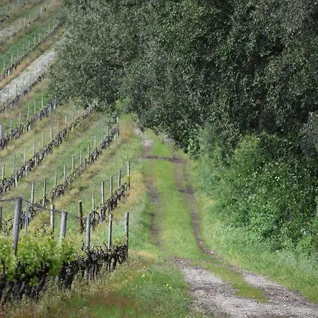Quinta De Catralvos-3