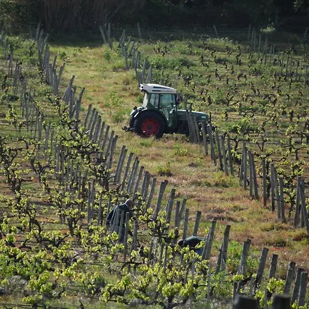 Quinta De Catralvos-2
